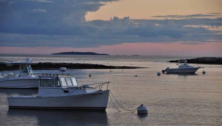 cove with boats